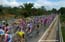 tdl03s3_peloton1