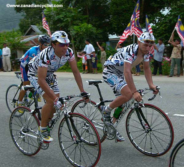 tdl03s4_specialized