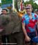 tdl03s7_lavallee