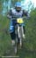otter03dhm_wadebootes1