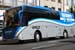 Disco_Bus