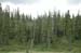 Mt Washngton CC001
