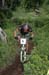 Mt Washngton CC116