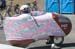 Recumbent5TC207-079