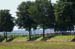PelotreesTDF7707-040