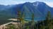 birdseye_whiteswan ake