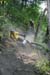 last_singletrack