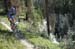 singletrack
