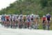 stg2_DSC0008