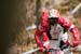 Steve Peat