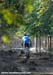 Lots of stumps on the XC course mean the riders have to pay constant attention