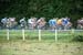 Peloton  		CREDITS:   		TITLE: Tour de France, 2009  		COPYRIGHT: � Tom Evans 2009