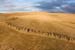 GREYTON, SOUTH AFRICA - Aerial view of Absa Cape Epic leading riders during stage five , 5 , of the Absa Cape Epic Mountain Bike Stage Race held between Greyton and Oak Valley ( Elgin / Grabouw ) on the 26 March 2009 in the Western Cape, South Africa..Pho