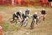Roger Rinderknecht (GT Bikes) leads  		CREDITS:   		TITLE: Maribor World Cup  		COPYRIGHT: Copyright 2009. All Rights Reserved.