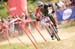 Sam Hill (Monster Specialized)  		CREDITS:   		TITLE: Maribor World Cup  		COPYRIGHT: Copyright 2009. All Rights Reserved.