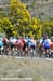 Start  		CREDITS:   		TITLE: MTB World Championships Canberra Australia  		COPYRIGHT: ROB JONES/CANADIAN CYCLIST.COM
