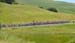 scenic  		CREDITS: Rob Jones  		TITLE: Tour of California  		COPYRIGHT: ROB JONES/CANADIAN CYCLIST.COM