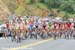The peloton  		CREDITS: Rob Jones  		TITLE: Tour of California  		COPYRIGHT: ROB JONES/CANADIAN CYCLIST.COM