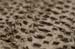 Tracks in the mud  		CREDITS: Spec  		TITLE: Maribor 2010 World Cup MTB  		COPYRIGHT: �Colin Meagher