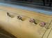 CREDITS:   		TITLE: 2010 Track World Championships Copenhagen, Denmark  		COPYRIGHT: