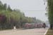 The bunch in the heat haze on the long, straight road 		CREDITS: CJ Farquharson 		TITLE:  		COPYRIGHT: CJ Farquharson    2011�         All rights retained - no copying, printing or other manipulation, editing or processing permitted without prior, written