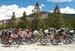 Peloton 		CREDITS:  		TITLE: USA Pro Cycling Challenge, 2011 		COPYRIGHT: � Canadian Cyclist 2011
