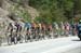 The peloton on teh climb 		CREDITS:  		TITLE: USA Pro Cycling Challenge, 2011 		COPYRIGHT: � Canadian Cyclist 2011