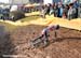 Karl Hoppner goes down 		CREDITS: Rob Jones 		TITLE: 2011 CycloCross World Championships 		COPYRIGHT: Rob Jones/Canadiancyclist.com