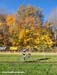A bit of fall colour still remained 		CREDITS:  		TITLE: 2011 Cyclocross Nationals  		COPYRIGHT: Rob Jones/www.canadiancyclist.com 2011� All rights retained - no use permitted without prior, written permission