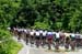 pack starting the first climb of the day 		CREDITS: Jon Safka 		TITLE: 2011 Road Nationals 		COPYRIGHT: Jan Safka 2011� All rights retained - no copying, printing or other manipulation, editing or processing permitted without prior, written permission