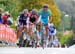 CREDITS:  		TITLE: Road World Championships 		COPYRIGHT: Rob Jones/www.canadiancyclist.com 2011� All rights retained - no use permitted without prior, written permission