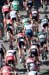 mens peloton 		CREDITS:  		TITLE: Tour of the Gila, 2012 		COPYRIGHT: www.canadiancyclist.com 2012� All rights retained - no use permitted without prior, written permission