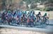 womens peloton 		CREDITS:  		TITLE: Tour of the Gila, 2012 		COPYRIGHT: � CanadianCyclist.com 2012