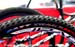 When you are the world and Olympic champion you get tires with your national colours... 		CREDITS:  		TITLE: 2012 MTB World Championships  		COPYRIGHT: Rob Jones/www.canadiancyclist.com 2012 -copyright -All rights retained - no use permitted without prior