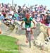 Burry Stander (South Africa) 		CREDITS:  		TITLE: 2012 Olympic Games 		COPYRIGHT: Rob Jones/www.canadiancyclist.com 2012 -copyright -All rights retained - no use permitted without prior, written permission
