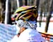 Helmet bling 		CREDITS:  		TITLE: 2013 Cyclo-cross World Championships 		COPYRIGHT: CANADIANCYCLIST